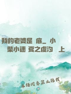 我的老婆是臥底